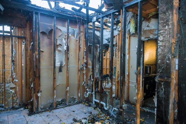 Professional Fire Damage Repair technician working in Dennison, MN