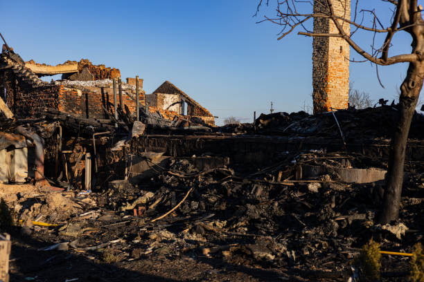 Reliable Fire Damage Repair contractor in Dennison, MN by Fire Damage Doption